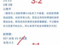 开云体育中国官方-波兰主场告负，欧预赛风云不减的简单介绍