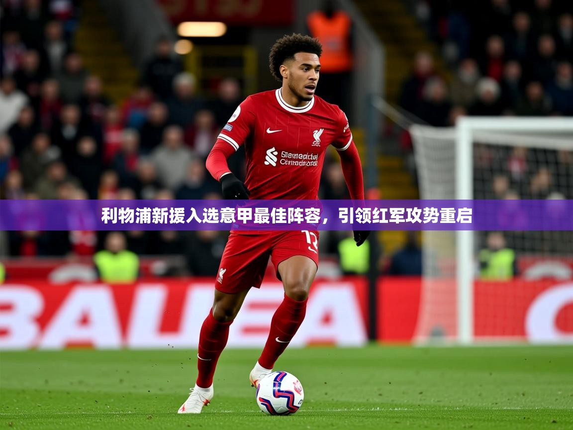 2025开云体育app优惠利物浦新援入选意甲最佳阵容，引领红军攻势重启  第2张