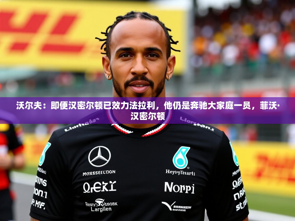 2025开云体育入口平台沃尔夫:即便汉密尔顿已效力法拉利,他仍是奔驰大家庭一员,菲沃·汉密尔顿 第1张