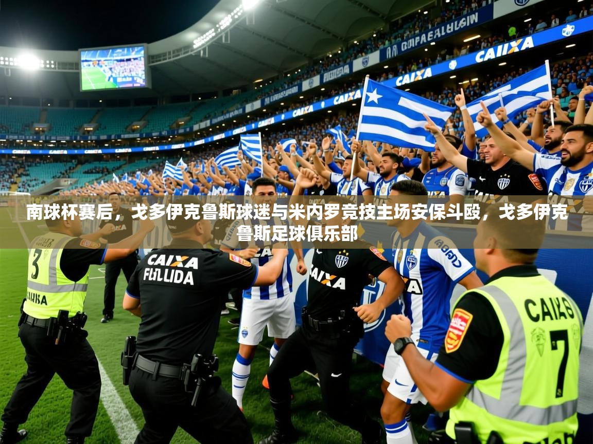 2025开云体育入口南球杯赛后，戈多伊克鲁斯球迷与米内罗竞技主场安保斗殴，戈多伊克鲁斯足球俱乐部  第1张