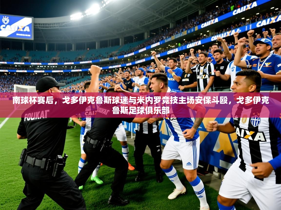 2025开云体育入口南球杯赛后，戈多伊克鲁斯球迷与米内罗竞技主场安保斗殴，戈多伊克鲁斯足球俱乐部  第2张