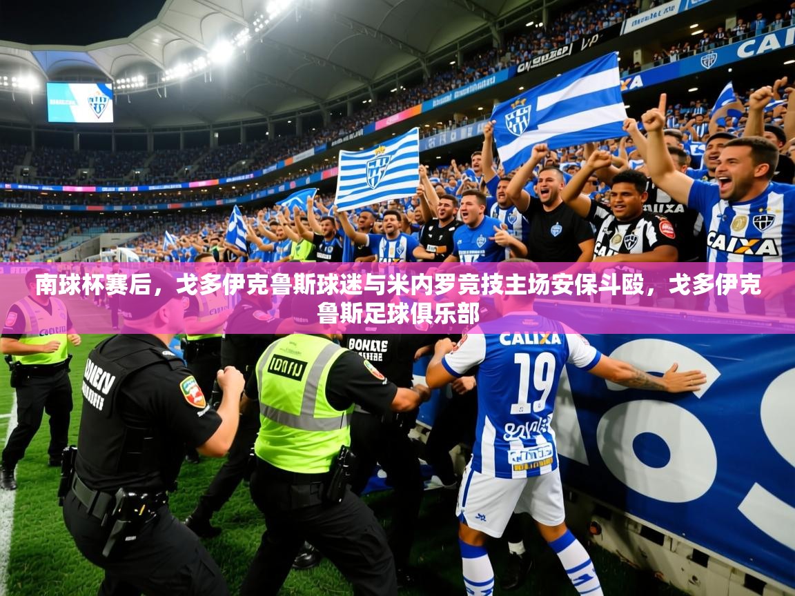 2025开云体育入口南球杯赛后，戈多伊克鲁斯球迷与米内罗竞技主场安保斗殴，戈多伊克鲁斯足球俱乐部  第3张