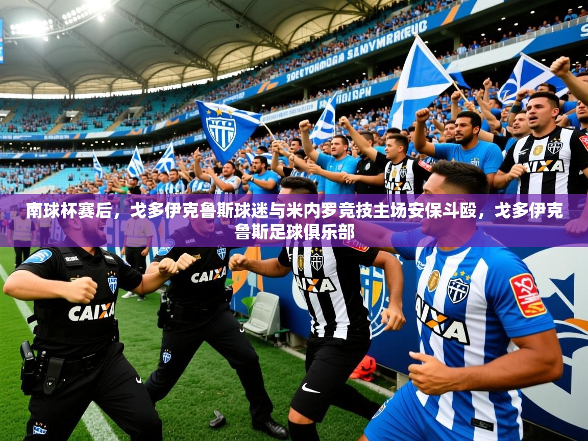 2025开云体育入口南球杯赛后，戈多伊克鲁斯球迷与米内罗竞技主场安保斗殴，戈多伊克鲁斯足球俱乐部  第4张